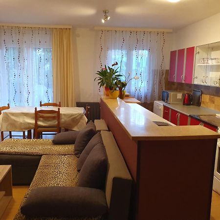 Apartments Sara 拉宾 外观 照片